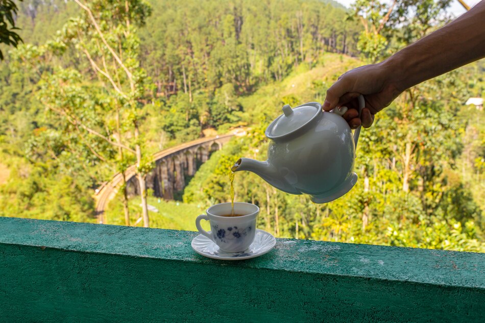 India Tea Production Regions: A Guide To The Best Brews
