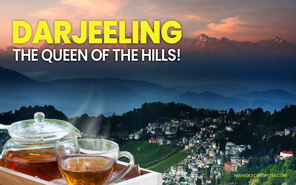 Exploring the Enchanting Darjeeling Region