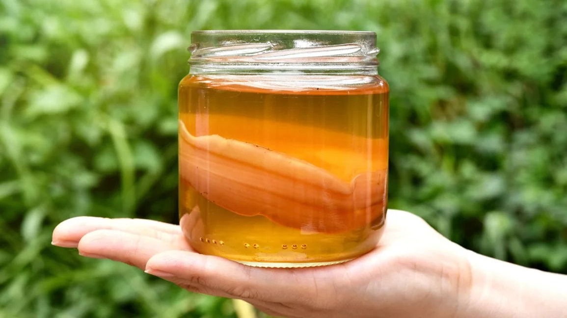 Boost Your Gut Health With These Kombucha Recipes